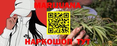 гидра Братск