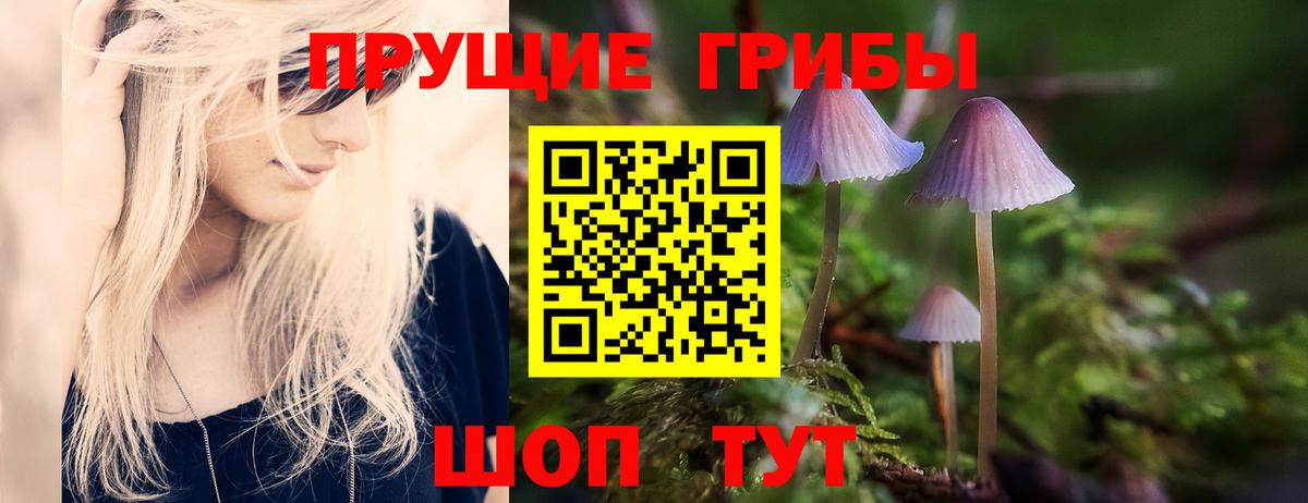 Галлюциногенные грибы Cubensis  Вход с VPN  Видное 